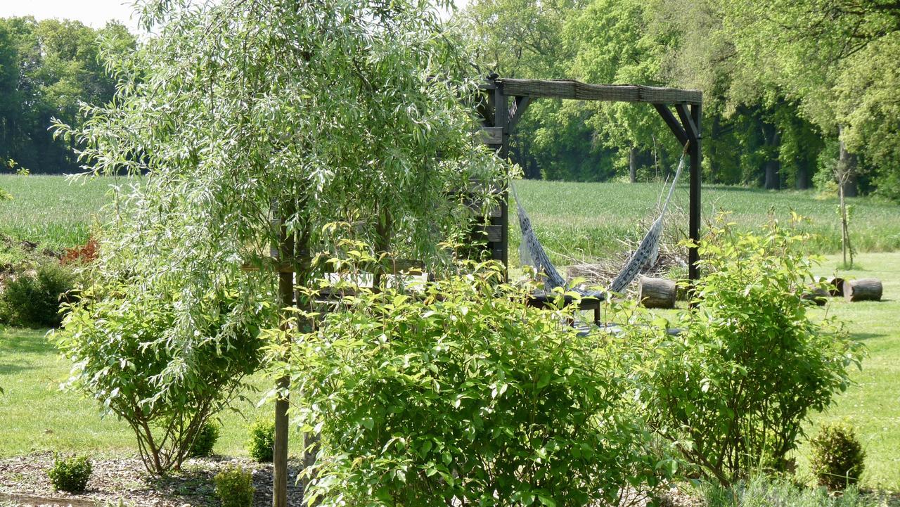 La Ligne Bed & Breakfast Angles-sur-l'Anglin ภายนอก รูปภาพ